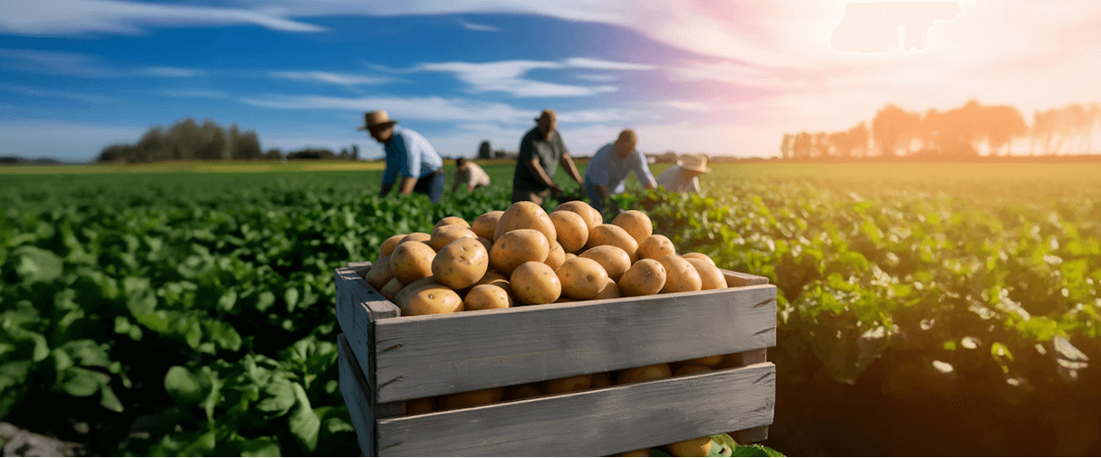 accordion image 3.png