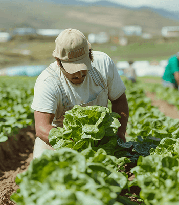 gallery section 4.png